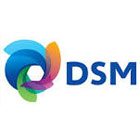 3-DSM